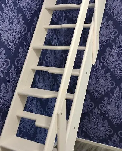 Pikkumustikka Апартаменты