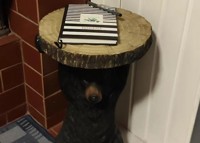 Pikkumustikka Апартаменты *